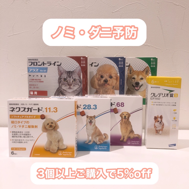 冬のノミ・ダニ予防について - 玉川高島屋内いずみ動物医療